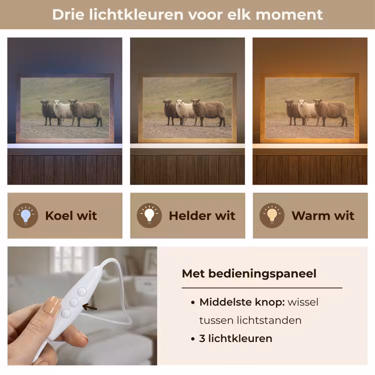 Tafellamp - Schapen - Bruin - Wit - Grindpad — 6