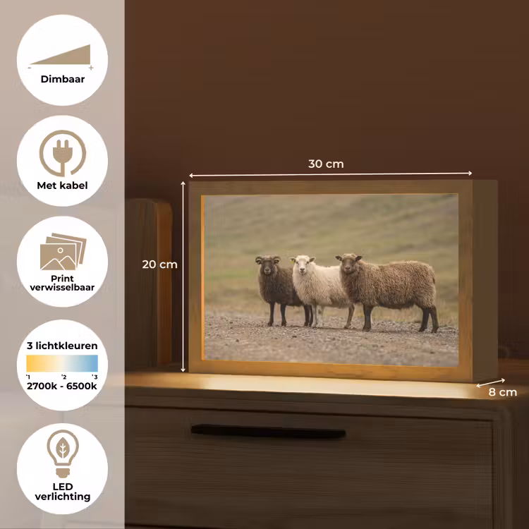Tafellamp - Schapen - Bruin - Wit - Grindpad — 7