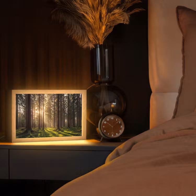 Tafellamp - Bos - Gras - Zonlicht — 2