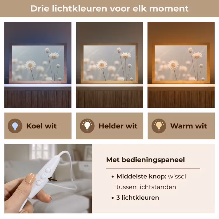 Tafellamp - Strobloemen - Wit - Daglicht — 6