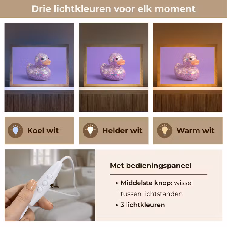 Tafellamp - Disco - Eend - Paars — 6