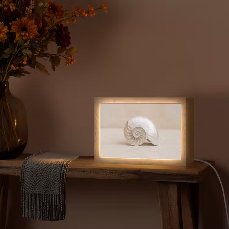 Tafellamp - Schelp - Spiraal - Beige — 4