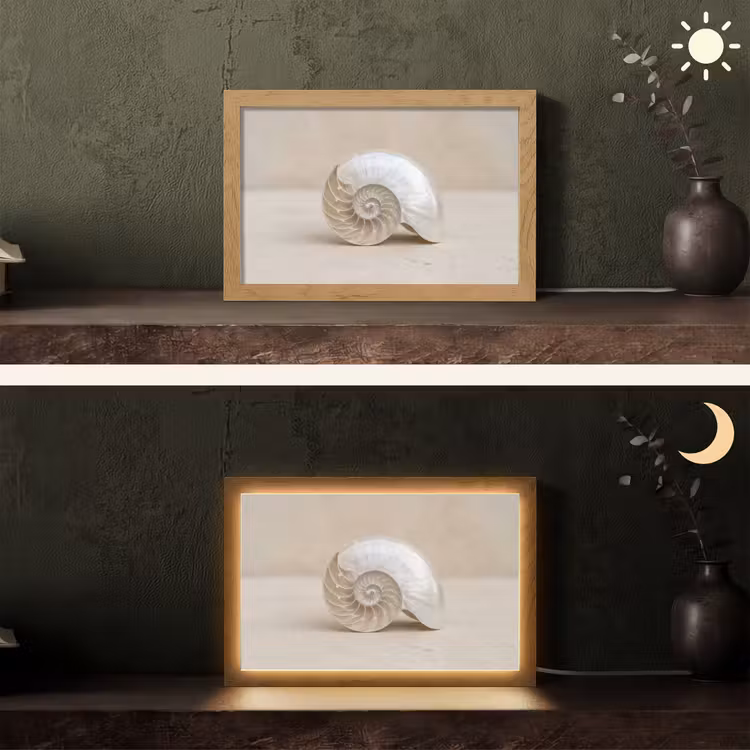 Tafellamp - Schelp - Spiraal - Beige — 5
