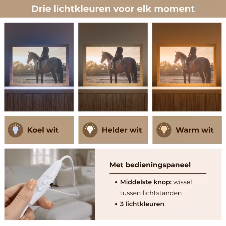 Tafellamp - Harmonie - Ruiter - Zon — 6