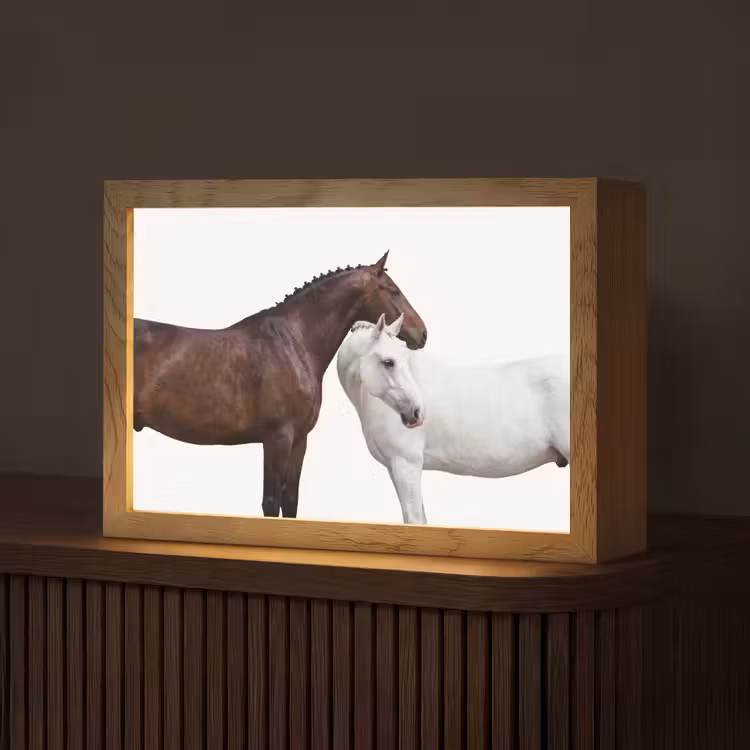 Tafellamp - Paard - Modern - Balans — 1