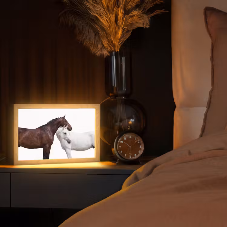 Tafellamp - Paard - Modern - Balans — 2