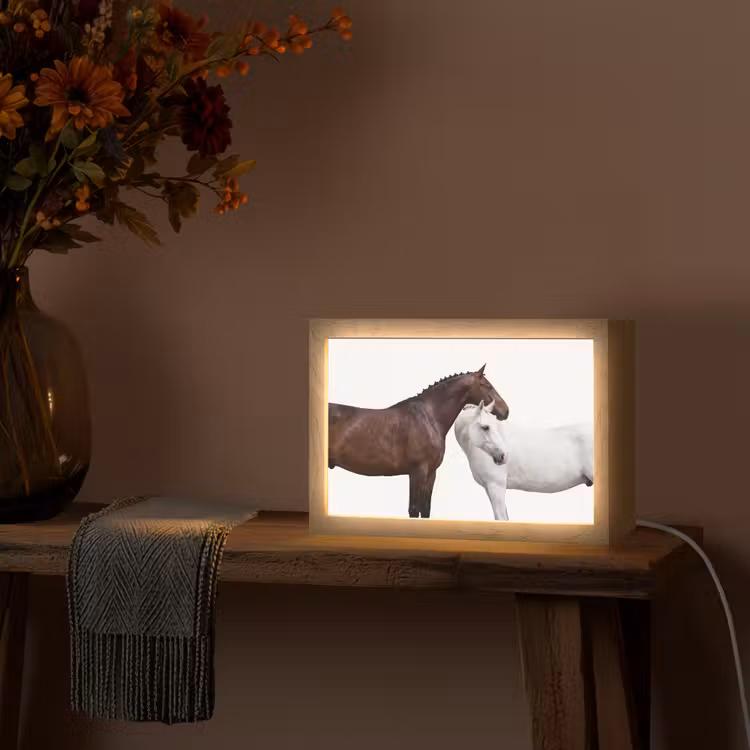 Tafellamp - Paard - Modern - Balans — 4
