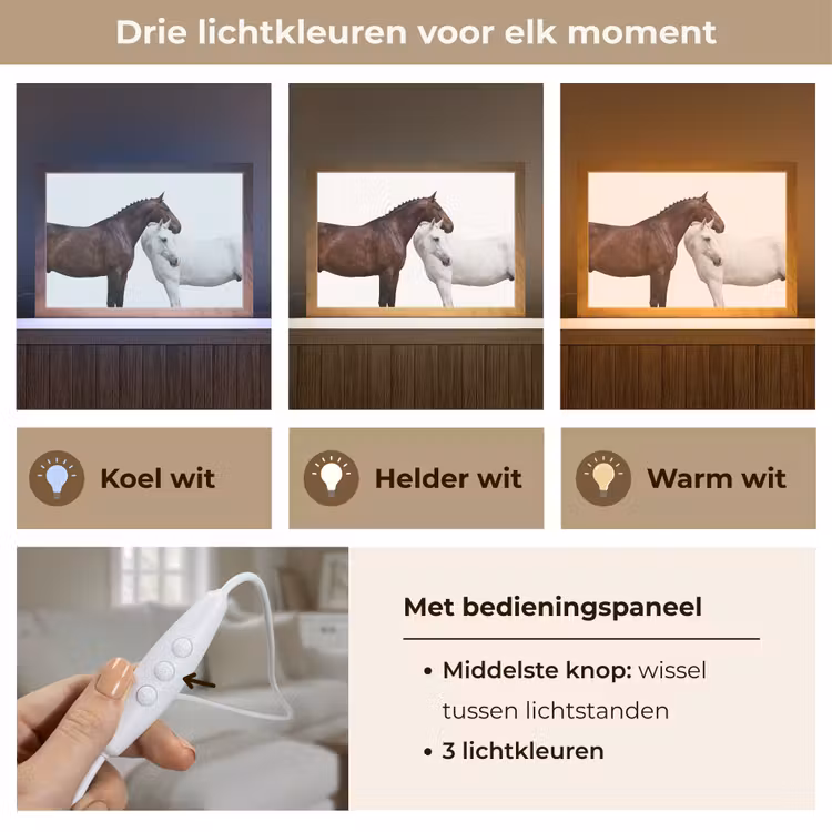 Tafellamp - Paard - Modern - Balans — 6