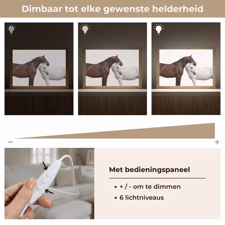 Tafellamp - Paard - Modern - Balans — 8