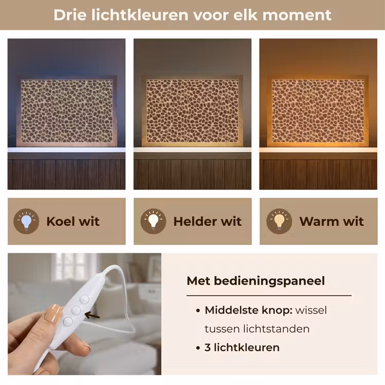 Tafellamp - Schildpad - Bruin - Patroon — 6