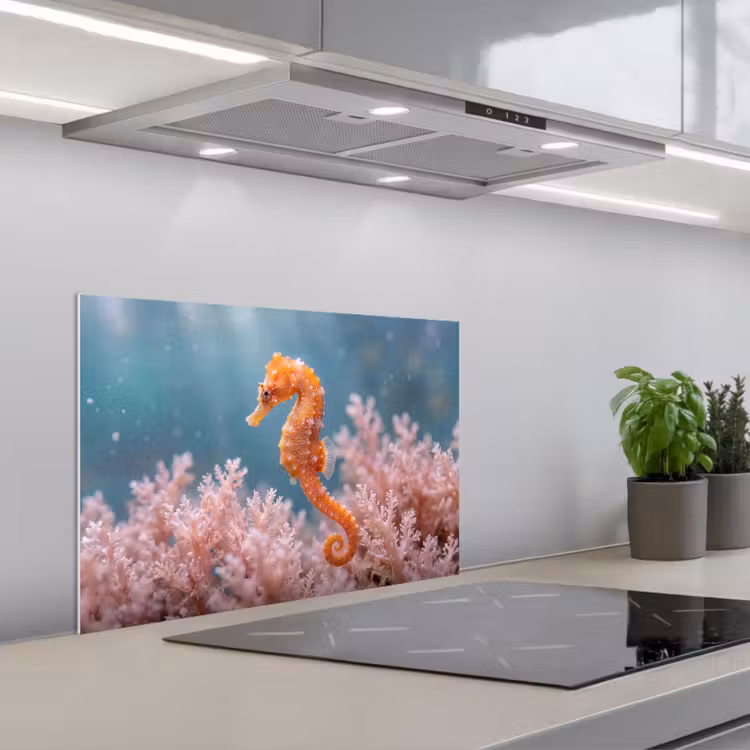 Spatscherm keuken - Vis - Koraal - Oceaan - Macro - Oranje — 5
