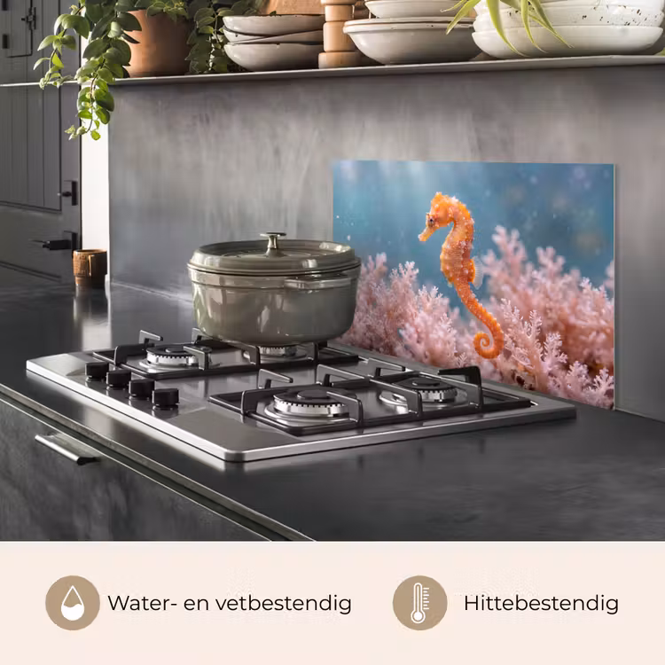 Spatscherm keuken - Vis - Koraal - Oceaan - Macro - Oranje — 7