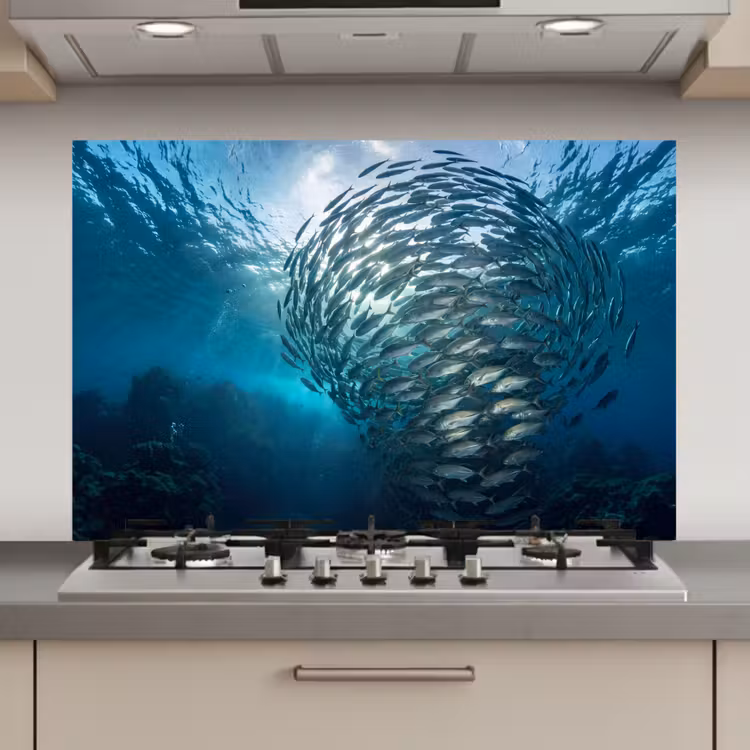 Spatscherm keuken - Vis - School - Oceaan - Natuur - Blauw — 1