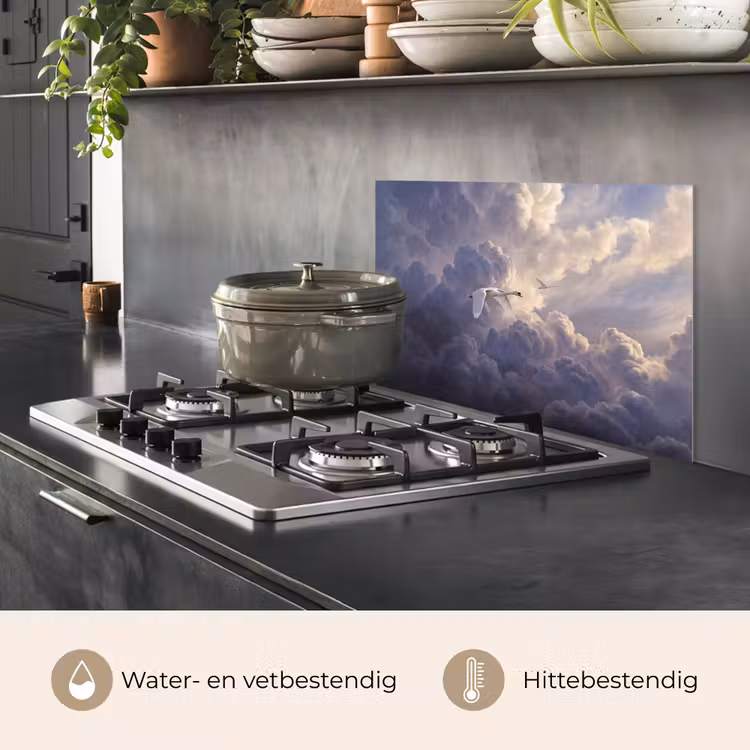 Spatscherm keuken - Vogel - Vliegend - Natuur - Wit - Wolken — 7