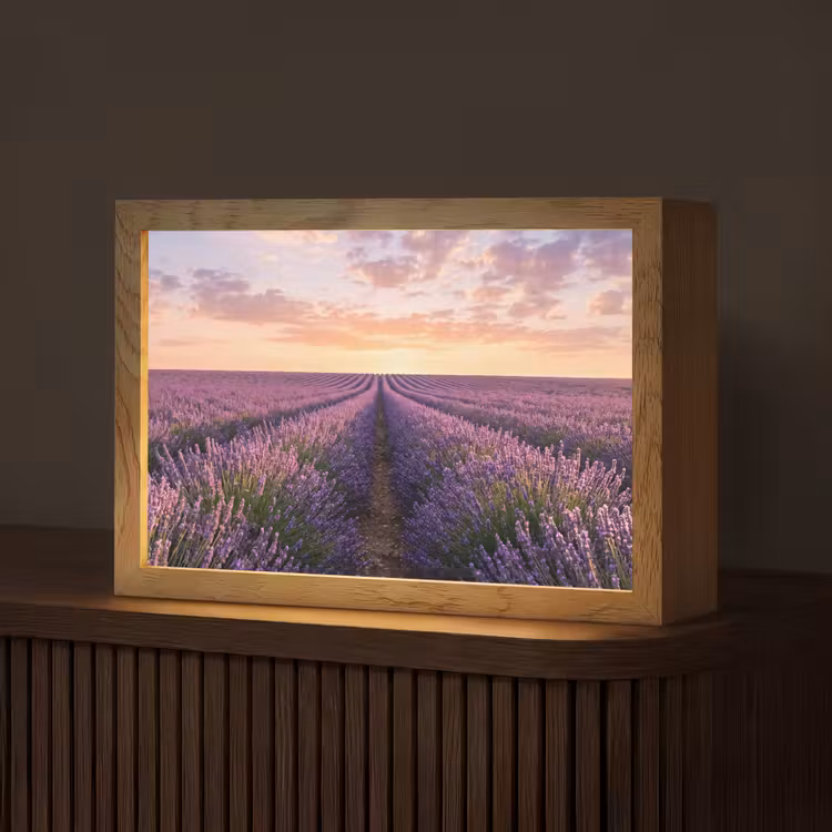 Tafellamp - Landschap - Lavendelveld - Paars — 1