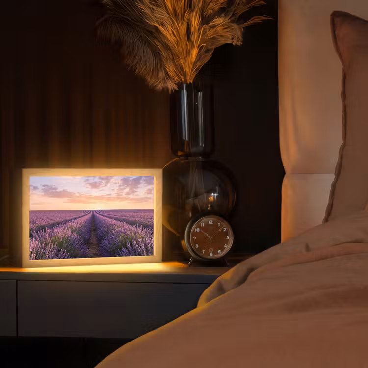 Tafellamp - Landschap - Lavendelveld - Paars — 2
