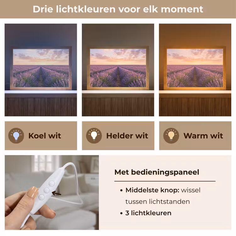 Tafellamp - Landschap - Lavendelveld - Paars — 6