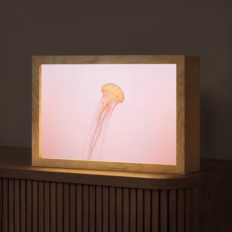 Tafellamp - Sierlijk - Kwal - Roze — 1