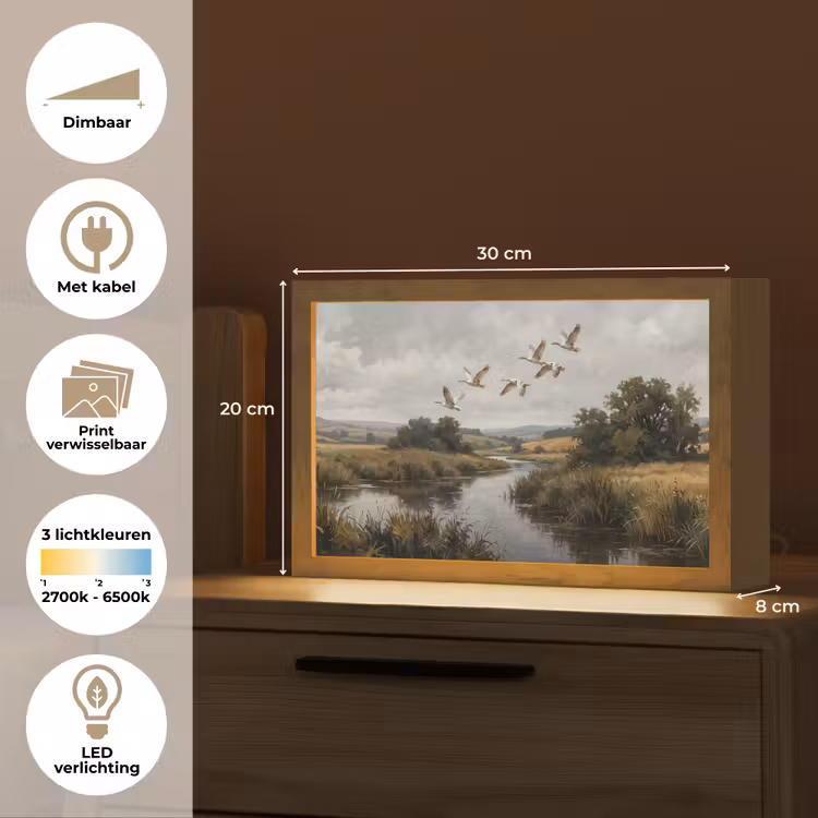 Tafellamp - Eenden - Rivier - Landschap - Vlucht - Nostalgisch — 7