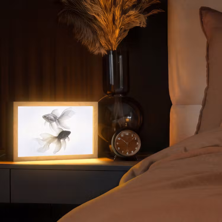 Tafellamp - Goudvissen - Modern - Wit — 2