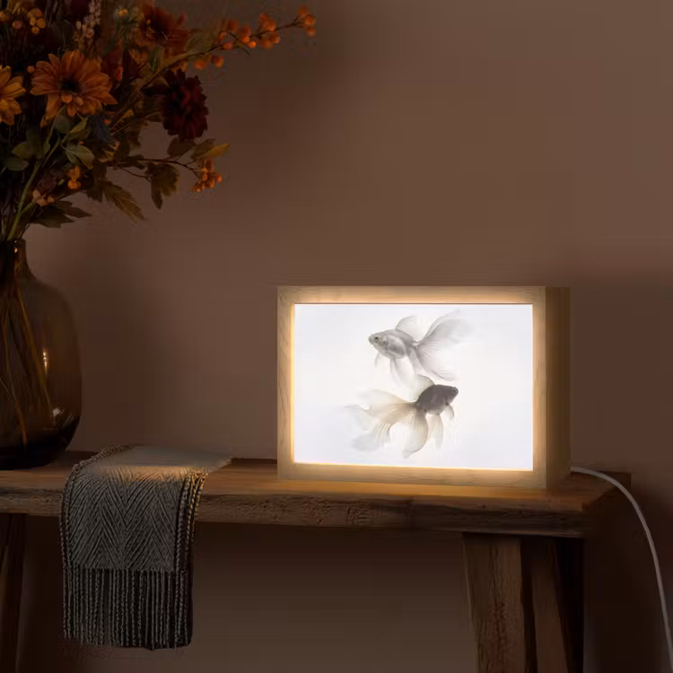 Tafellamp - Goudvissen - Modern - Wit — 4