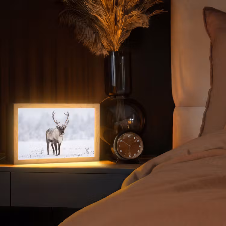 Tafellamp - Rendier - Gewei - Toendra - Sneeuw - Wild — 2