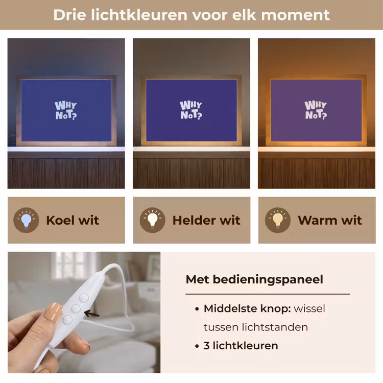 Tafellamp - Blauw - Why not - Minimalistisch — 6