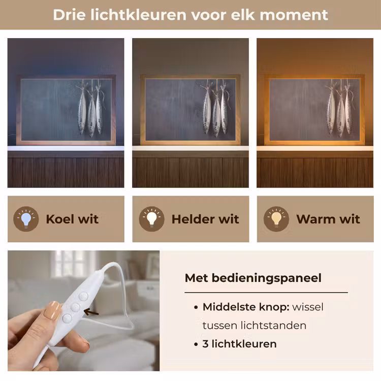 Tafellamp - Drie vissen - Touw — 6