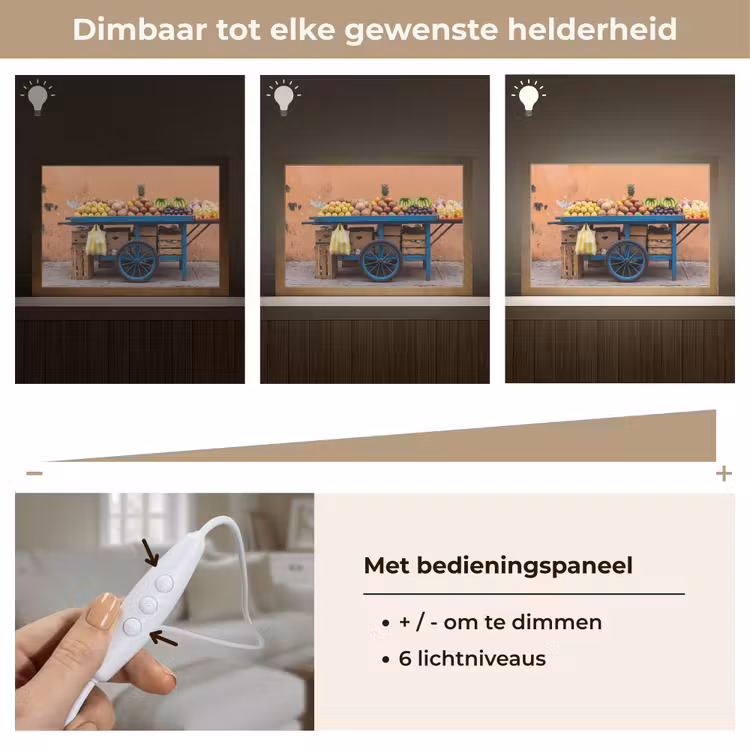 Tafellamp - Fruit - Kar - Straat — 8