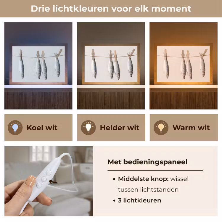 Tafellamp - Vis - Hangend - Eten — 6
