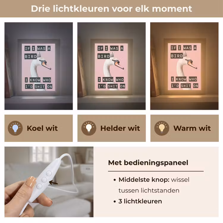 Tafellamp - Zwaan - Vogel - Decoratie - Roze — 6