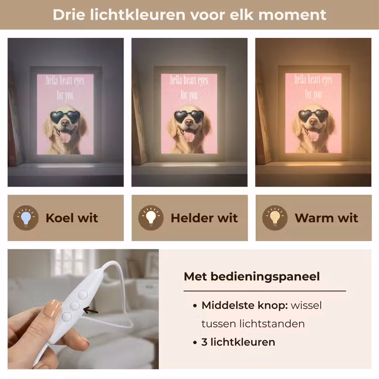 Tafellamp - Zonnebril - Hartjes - Hond - Valentijn — 6
