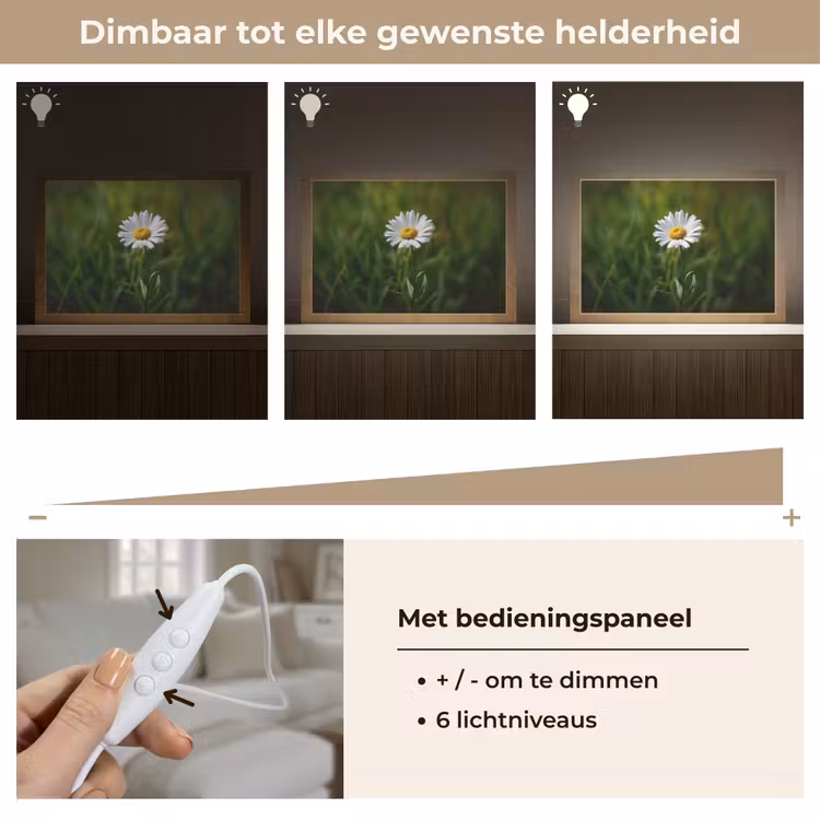 Tafellamp - Wit - Madeliefje - Bloem - Gras — 8