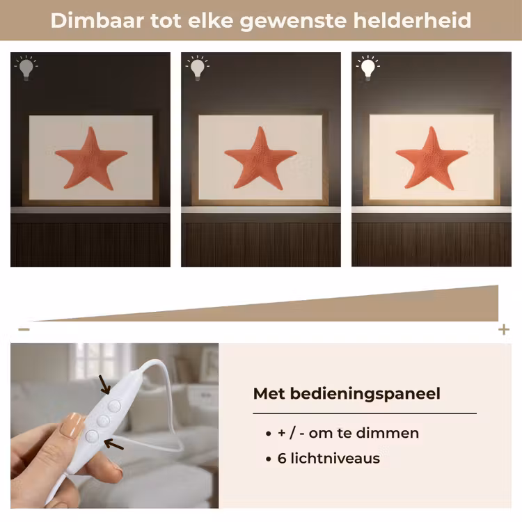 Tafellamp - Zeester - Bobbels - Rood — 8