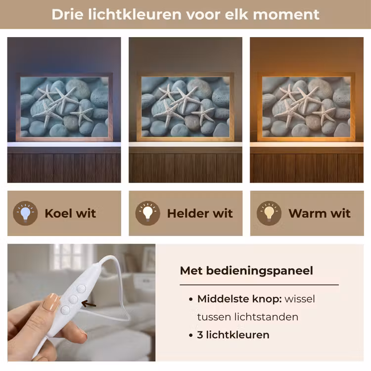 Tafellamp - Zeesterren - Stenen - Wit — 6