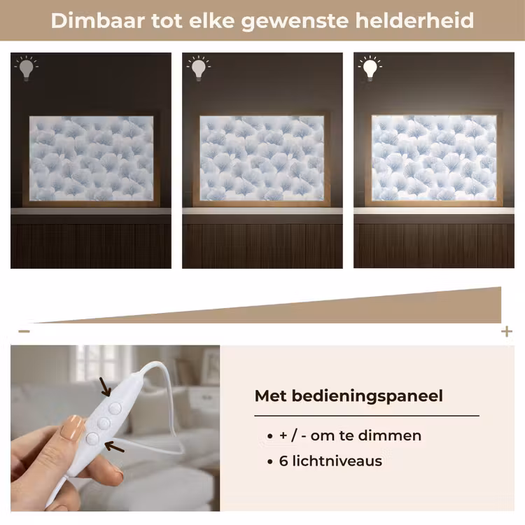 Tafellamp - Waaier - Modern - Blauw — 8