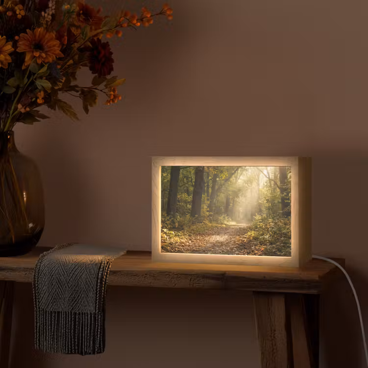 Tafellamp - Zonlicht - Bospad - Bomen — 4