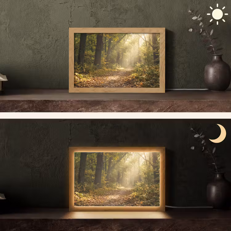 Tafellamp - Zonlicht - Bospad - Bomen — 5