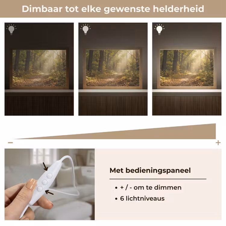 Tafellamp - Zonlicht - Bospad - Bomen — 8