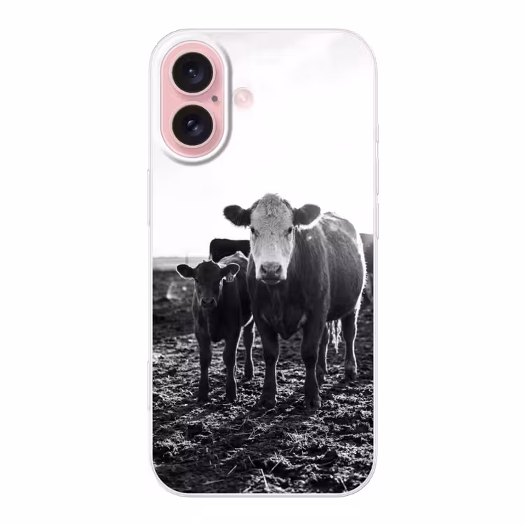 Telefoonhoesje - Koeien - Zwart - Wit — 1