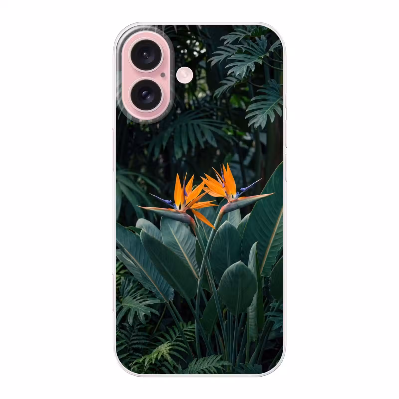 Telefoonhoesje - Paradijsvogel - Bloem - Exotisch — 1