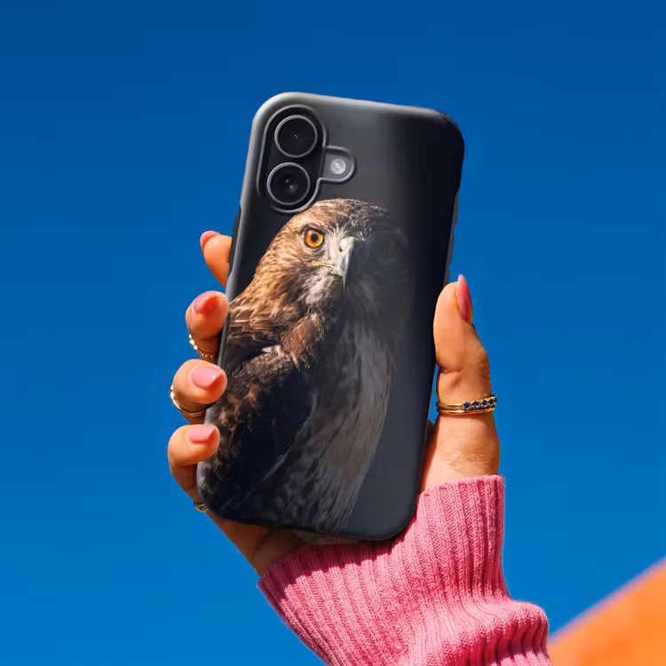 Telefoonhoesje Toughcase - Roofvogel - Buizerd - Bruin — 2