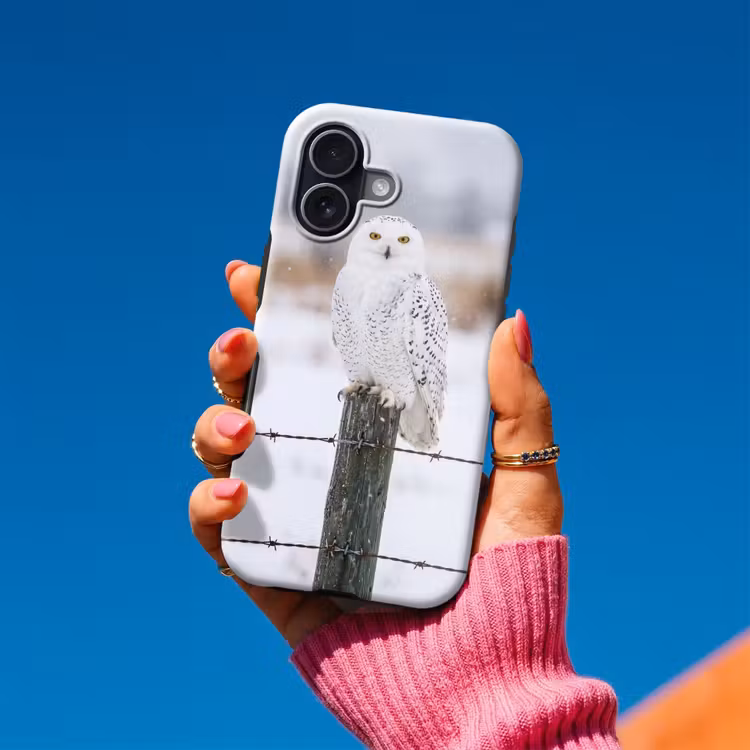 Telefoonhoesje Toughcase - Sneeuwuil - Hek - Sneeuw - Wit — 2