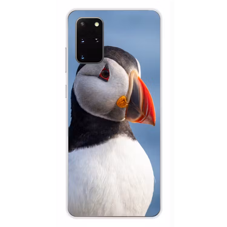Telefoonhoesje - Papegaaiduiker - Portret - Natuur — 4