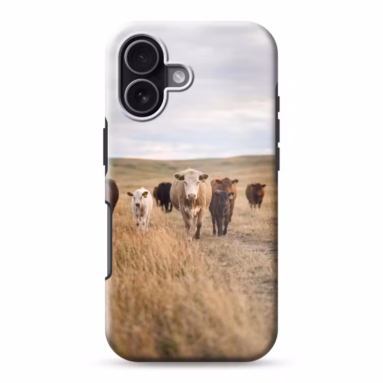 Telefoonhoesje Toughcase - Runderen - Kudde - Landschap - Weide - Rustig — 1