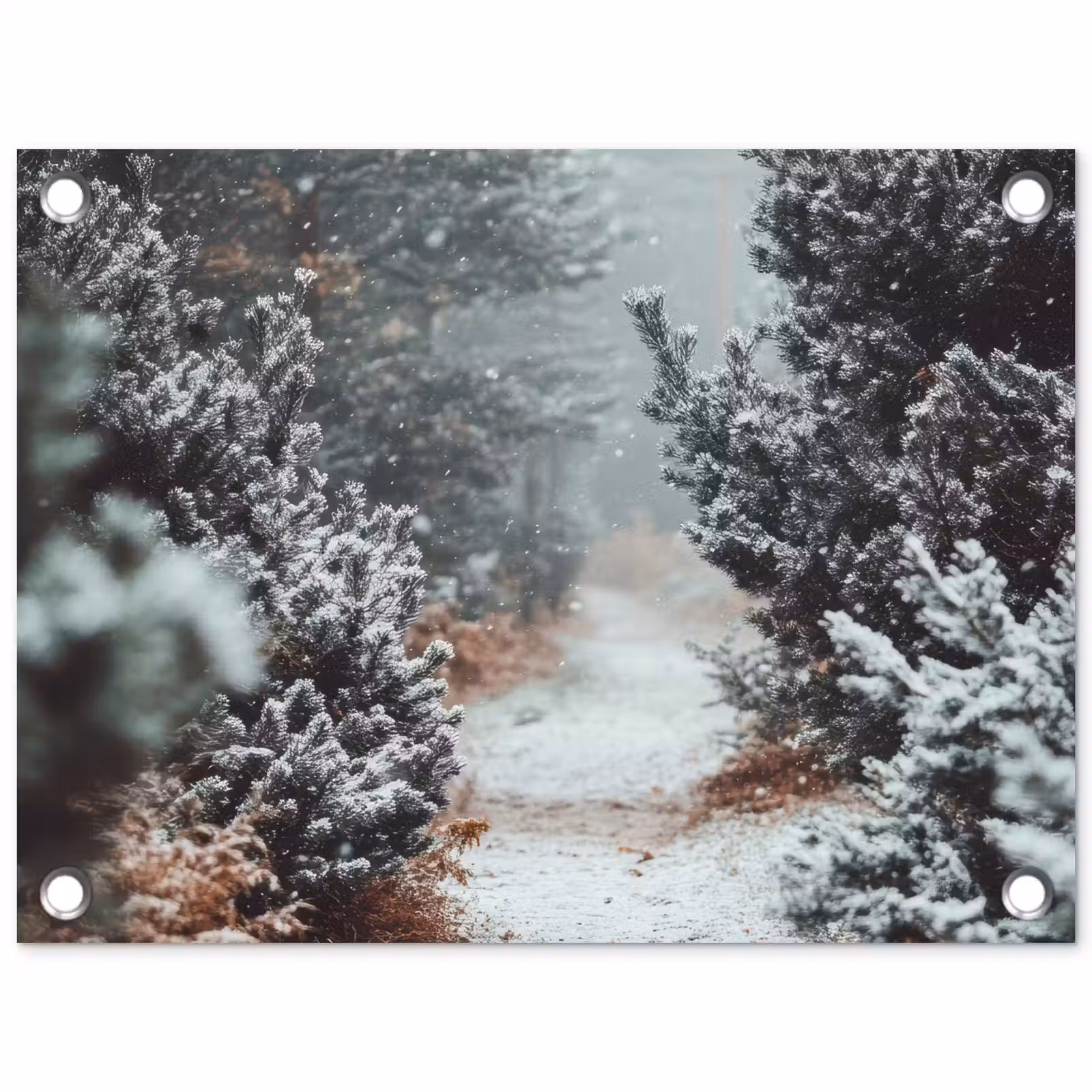 Tuinposter - Bos - Winter - Bomen - Natuur - Pad - Sneeuw — 1