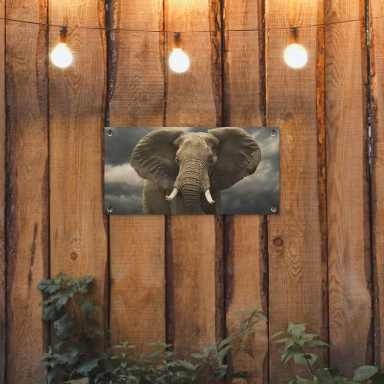 Tuinposter - Afrikaanse olifant tegen de donkere wolken — 2