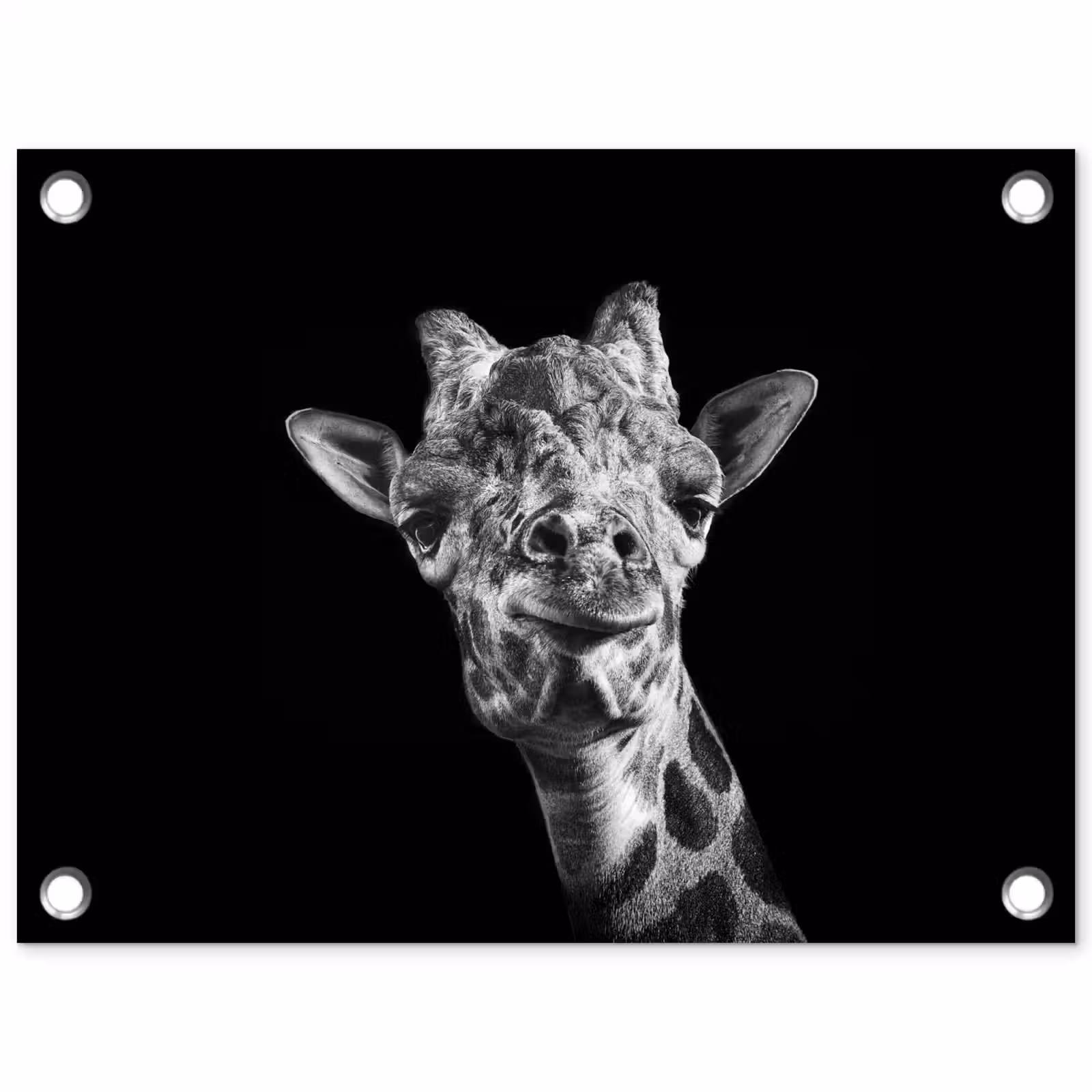 Tuinposter - Giraffe - Dier - Zwart - Wit — 1