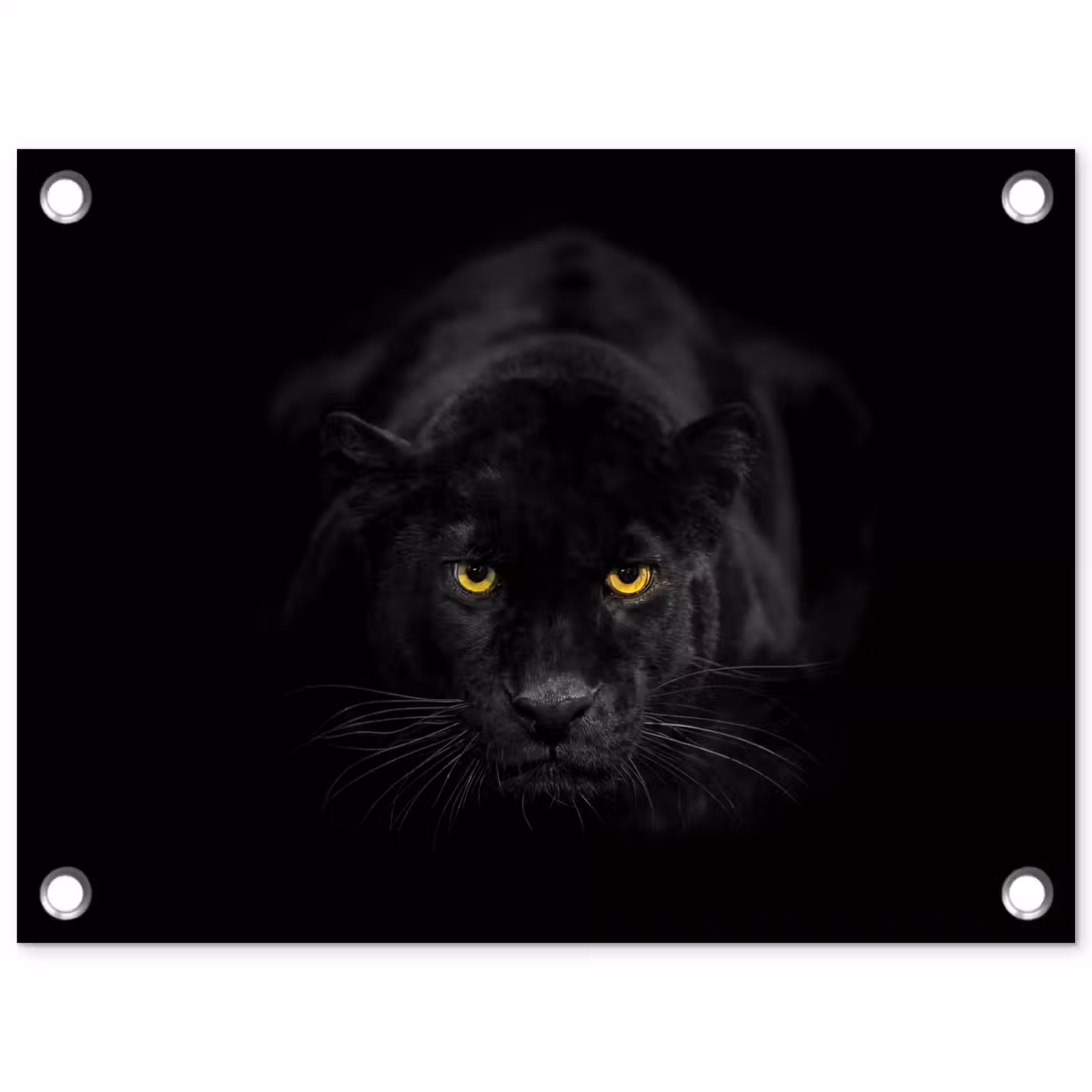 Tuinposter - Panter - Dieren - Zwart - Ogen — 1