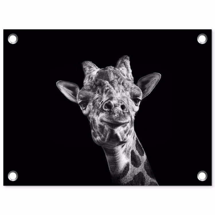 Tuinposter - Giraffe - Dier - Zwart - Wit — 1
